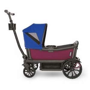 Veer Cruiser (2 Seater) Stroller Wagon + Canopy Bundle - Pink Agate/Kai Blue