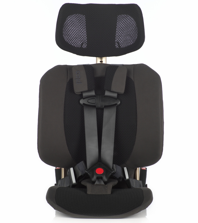 WAYB Pico Forward Facing Travel Car Seat Earth