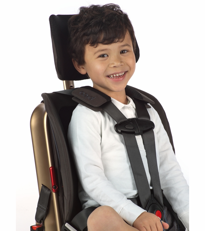 WAYB Pico Forward Facing Travel Car Seat Earth