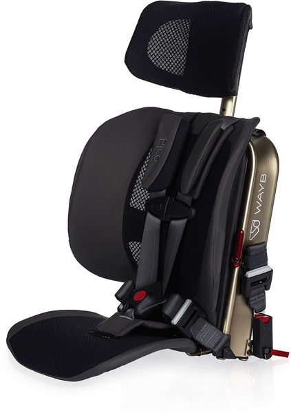 WAYB Pico Forward Facing Travel Car Seat - Earth