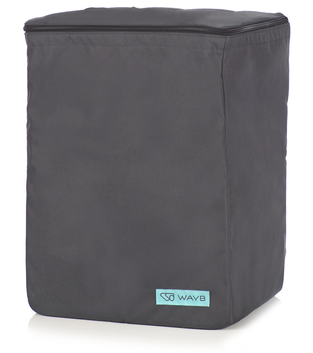 WAYB Pico Forward Facing Travel Car Seat Travel Bag Raven