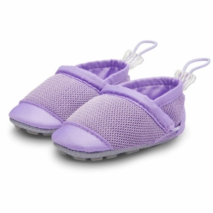 Woolybubs The Toddle Baby Shoe, Size 1 - Purple