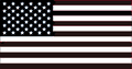 US FLAG B/W