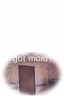 Mold Control
