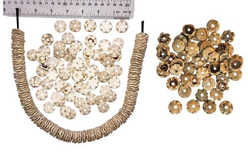 Coconut Rosettes Rings, Lei Making 60 Spacers
