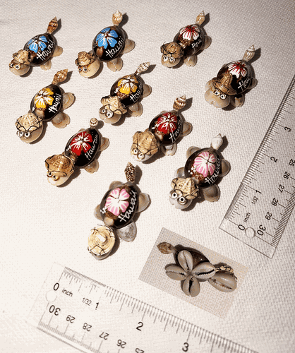 Cowrie Shells Turtles Ornaments