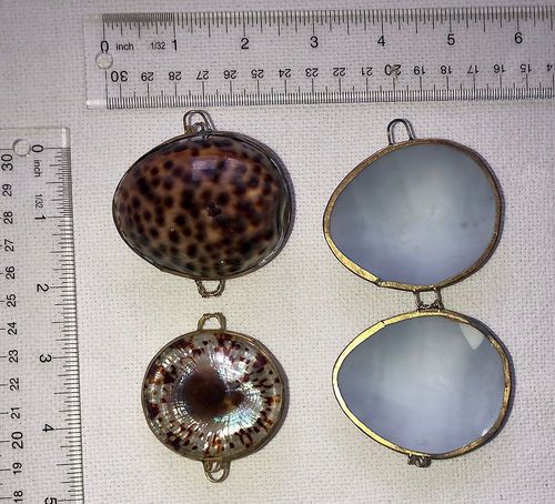 Hawaiian Shells Jewelry Gift Boxes