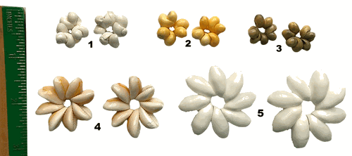 Hand Crafted Shells Rings