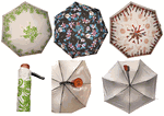 Hawaiian Design Umbrellas