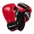 Century Boxing Gloves