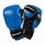 Century Boxing Gloves