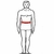 ExoTech Thigh and Groin Protector