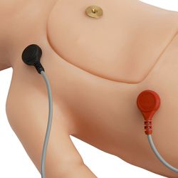 Life/form Charlie Neonatal Resuscitation Simulator with Interactive ECG Simulator