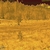 Nighthunter H35 Lite Gen II Thermal