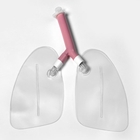 Replacement Lungs for Life/form Airway Larry Airway Mngmt  Manikins