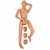 Simulaids DANi Auscultation Patient Skills Trainer