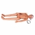 Simulaids DANi Auscultation Patient Skills Trainer