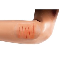 Simulaids DANi Patient Care Trainer with Chest Compression