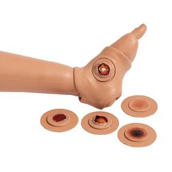 Simulaids DANi Patient Care Trainer with Chest Compression