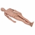 Simulaids Trauma Troy Rugged Full Body Trauma Training Manikin