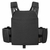Tasmanian Tiger LP MKII Plate Carrier