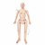 TERi Elderly Geriatric Patient Simulator for Medical Training