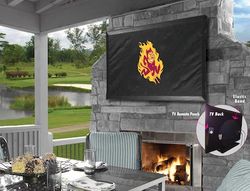 Arizona State TV Cover
