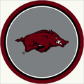 Arkansas 64� Round Spirit Rug