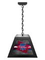 Philadelphia Phillies Pendant Box Light