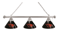 Oregon State Billiard Light