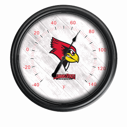 Illinois State Outdoor Thermometer