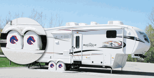 Boise State Tireshade