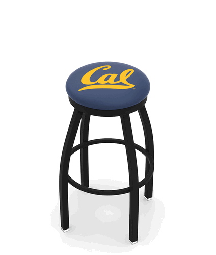 California Black Ring Swivel Stool