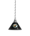 Bemidji State Pendant Light