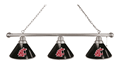 Washington State Billiard Light