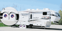 Boise State Tireshade