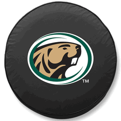 Bemidji State Tire Cover