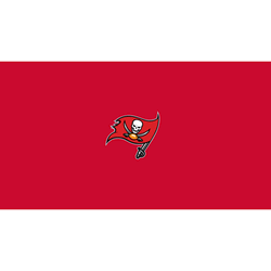 Tampa Bay Bucaneers Billiard Cloth