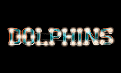 Miami Dolphins Recycled Lighted Sign