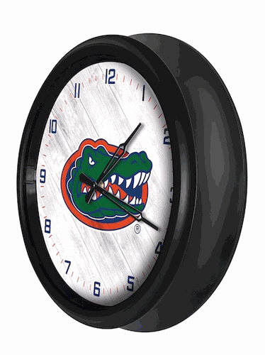 Florida Outdoor LED Clock