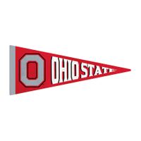 Ohio State Wood Pennant Wall Art