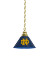 Notre Dame Pendant Light