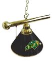 North Dakota State Billiard Light