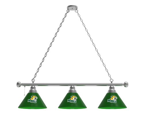 Northern Michigan Billiard Light