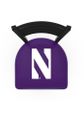 Northwestern Ladder Back Swivel Stool