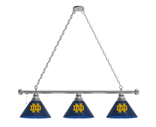 Notre Dame Billiard Light