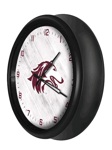 Southern Illinois Outdoor LED Clock