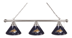 Montana State Billiard Light