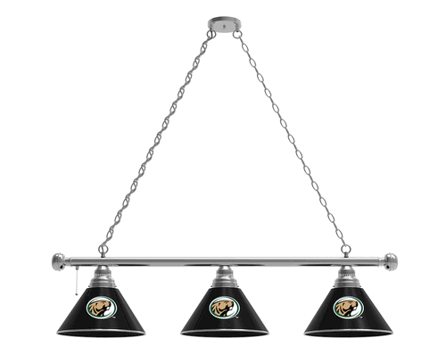 Bemidji State Billiard Light