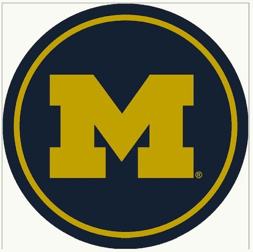 Michigan 64 Round Spirit Rug
